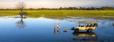 Wonders of Okavango Delta